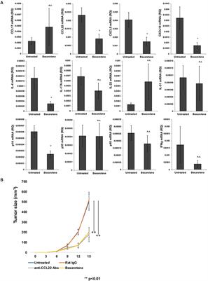 Bexarotene Reduces Production of CCL22 From Tumor-Associated Macrophages in Cutaneous T-Cell Lymphoma